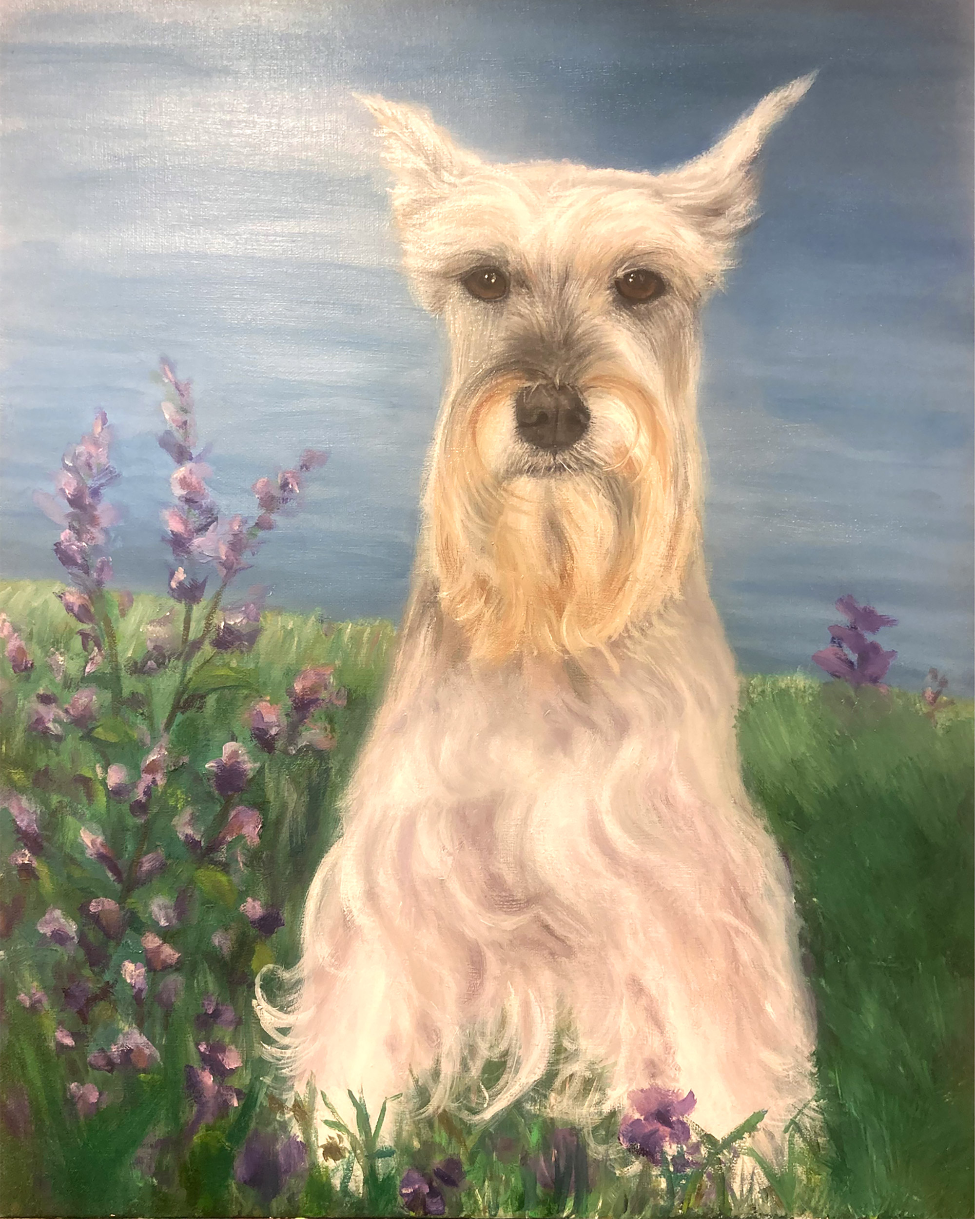 process in painting schnauzer pet portrait painting in the flowers
